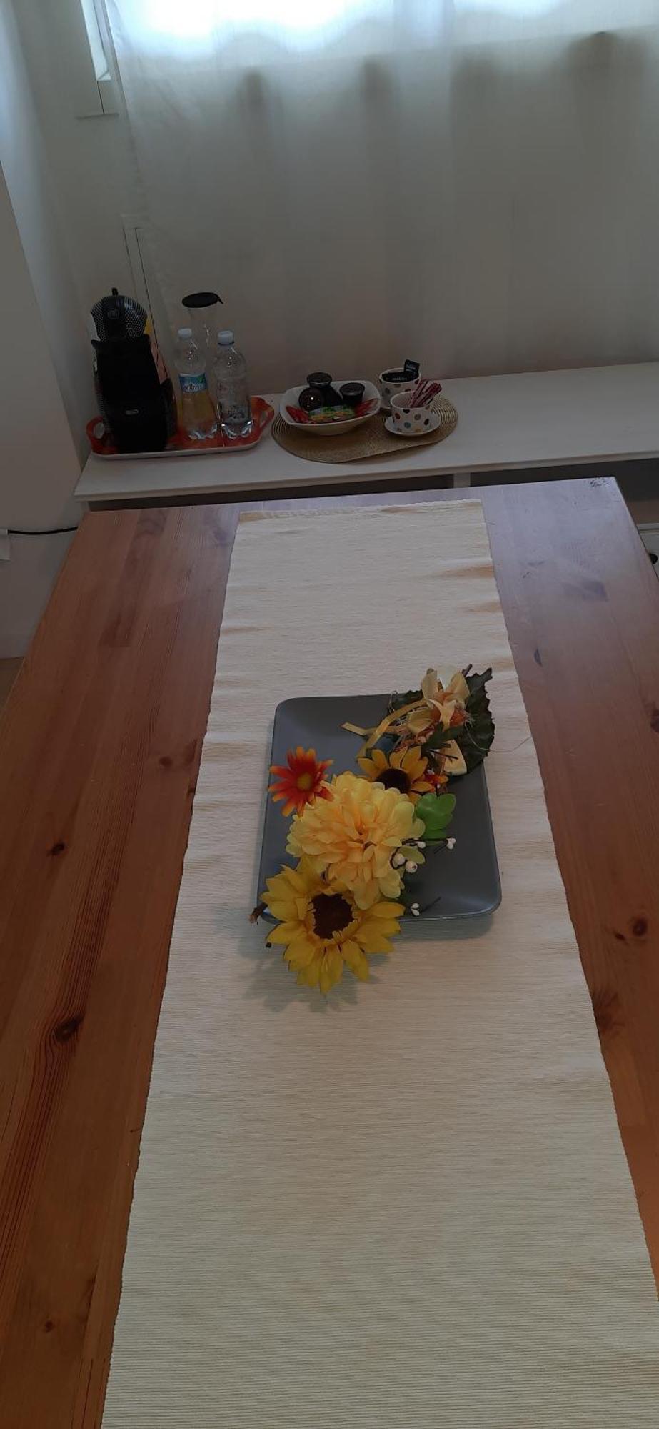 Appartamento Monolocale con 1 Letto Matrimoniale